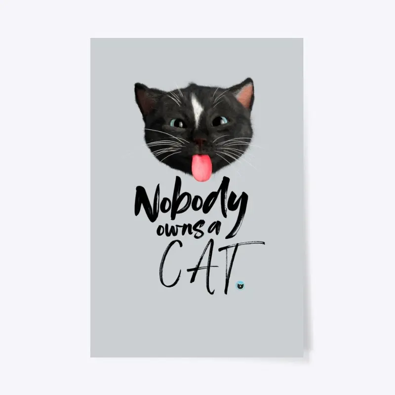 Nobody Owns A Cat